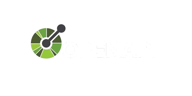 Open API